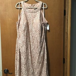 Roz & Ali Halter style cocktail dress